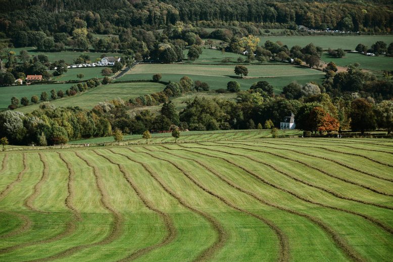 Limburgse landschap