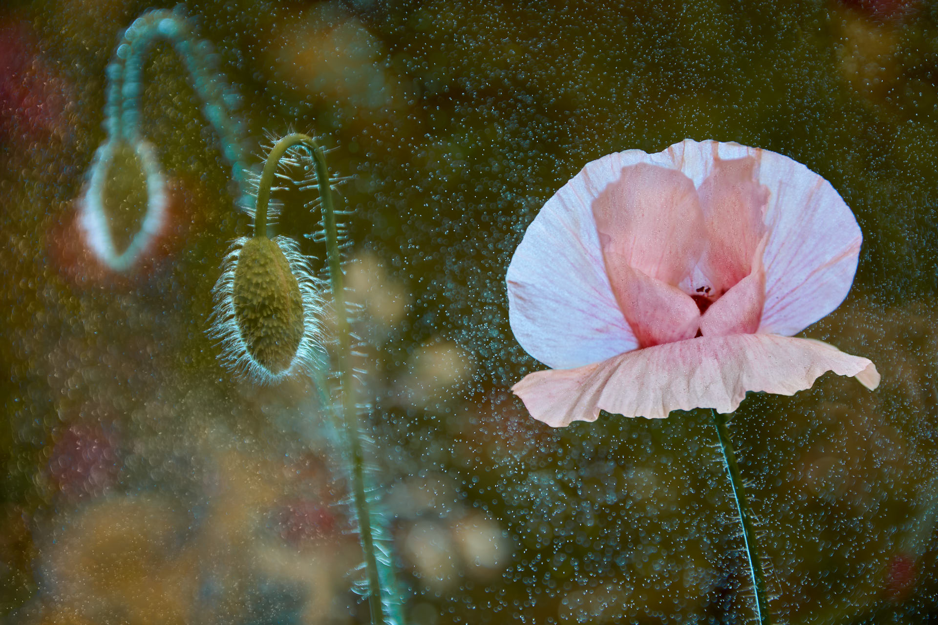 Workshop artistieke landschapsfotografie