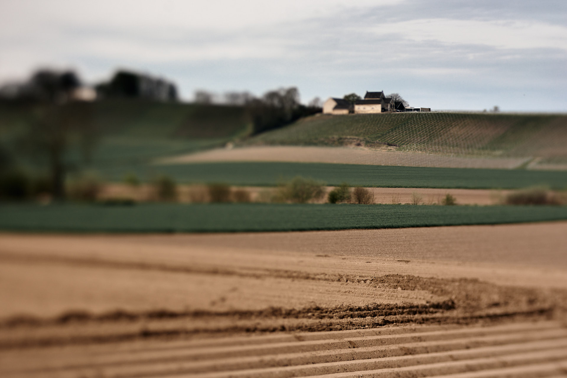 Landschapsfotografie in Limburg - Workshops fotografie