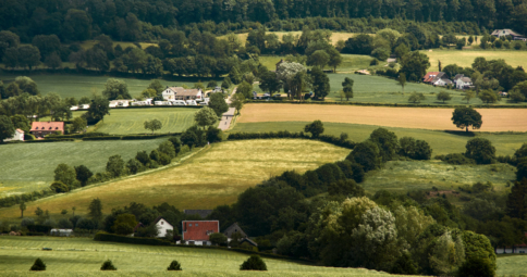 Zomerse middag in Limburg