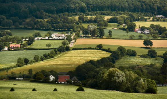 Zomerse middag in Limburg