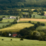 Zomerse middag in Limburg